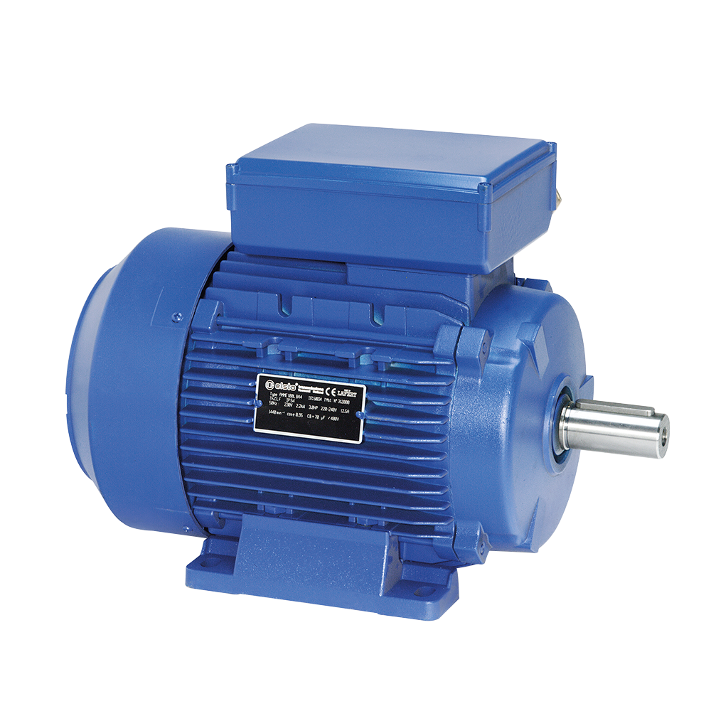 WBM01AA12AF5 Eenfase motoren van DutchDrives